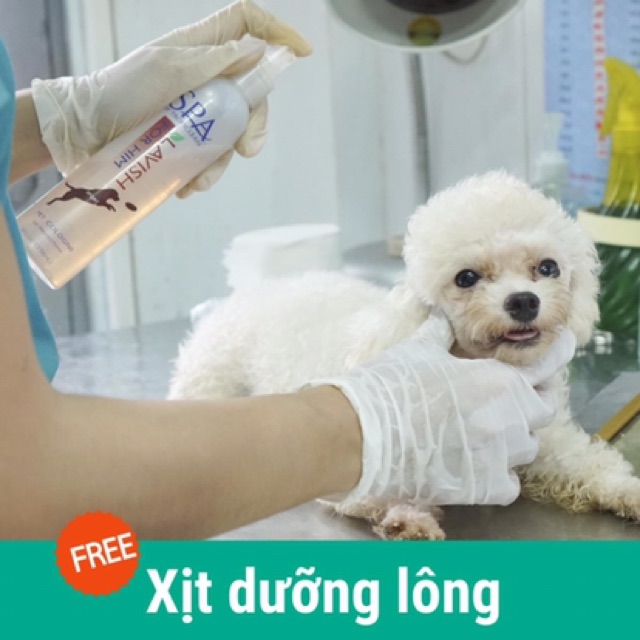 Xịt Dưỡng Lông Khử Mùi Cho Thú Cưng TropiClean