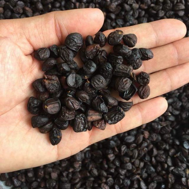 Hạt dổi nếp - 10 hạt