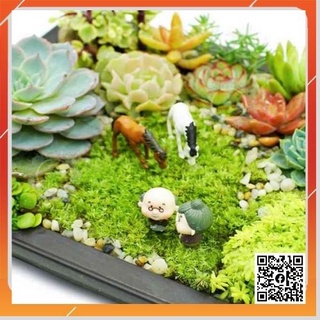 Cặp ngựa (2 con Đen trắng) làm Phụ kiện Trang Trí Terrarium, Sen Đá, Xương Rồng, cây cảnh mini, cây để bàn