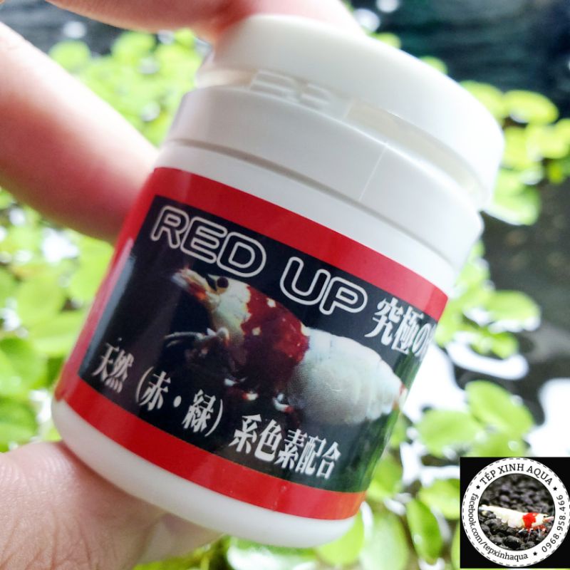 Kích Đỏ Cho Tép Cảnh (Cao Cấp) - Benibachi Red Up -  [Tép Xinh Aqua]