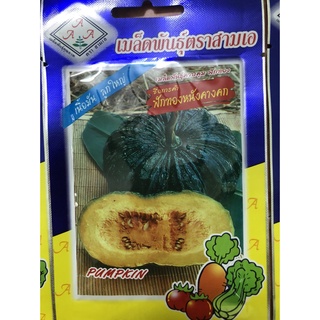 Hạt giống bí ngô da cóc nhập khẩu thái lan nguyên bao bì