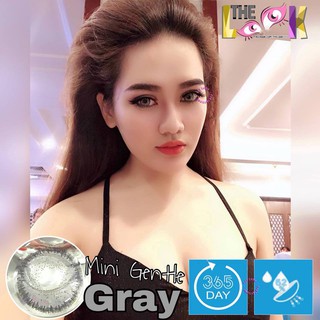 Lens Kính Áp Tròng Mini Gentle Gray