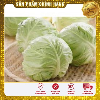 Hạt Giống Bắp Cải Trái Tim(50 hạt)