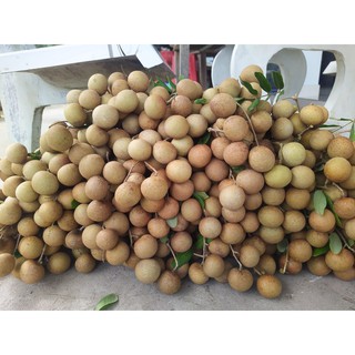 Nhãn xuồng cơm vàng Tiền Giang - Thơm ngon giòn ngọt