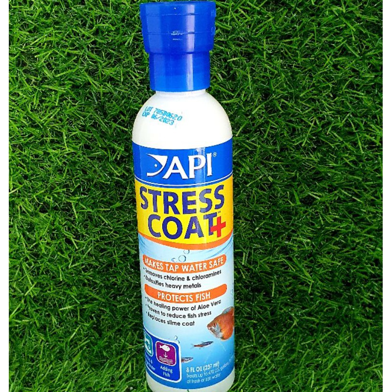 Dung dịch APi Stress Coat - Thần Dược cho cá cảnh. Giảm stress và khử kim loại nặng, phục hồi vết thương