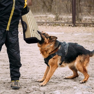 Găng tay đồ chơi ngậm cắn huấn luyện chó cưng