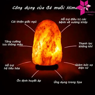 Đèn Đá Muối Himalaya Tự nhiên - Đèn Phong Thủy - Tài Lộc Bền Vững