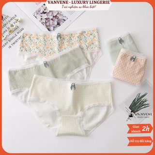 Combo 5 chiếc quần lót cotton chống viêm kháng khuẩn q855