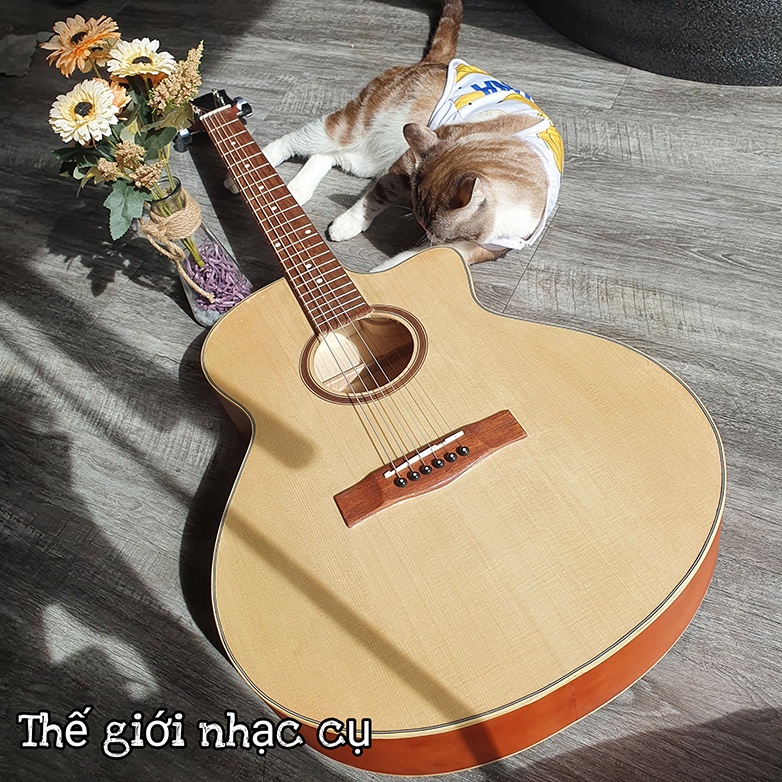 Đàn guitar đệm hát có ty chống cong 2 chiều bảo vệ cần giảm giá sốc - tặng kèm 6 phụ kiện đi kèm - bảo hành 12 tháng