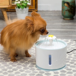 Máy Lọc Nước Cho Chó Mèo