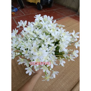 Cụm hoa thuỷ tiên điểm cực sang, giao hàng siêu nhanh - Hoa Lụa Duy Minh