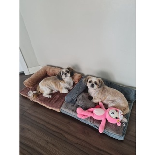Sodog Bộ sofa cho thú cưng có thể giặt