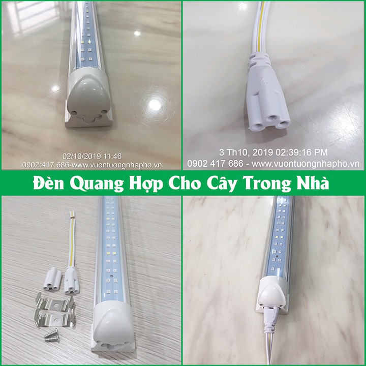 BỘ ĐÈN TRỒNG RAU SẠCH TRONG NHÀ (GREEN SMART LIGHT) GIÚP RAU BỔ SUNG ÁNH SÁNG QUANG HỢP VÀ PHÁT TRIỂN TỐT HƠN