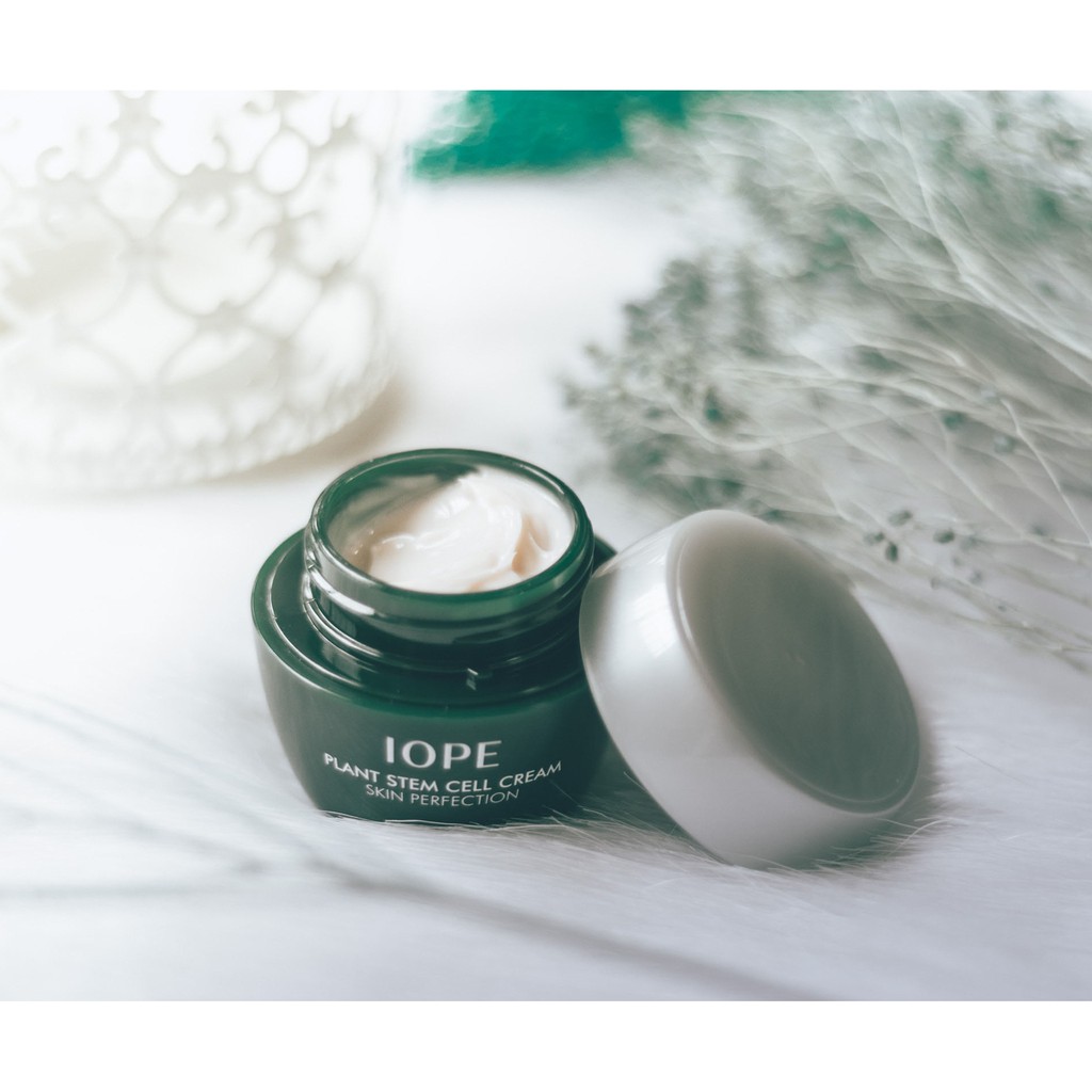 Kem Dưỡng Tế Bào Gốc Thực Vật IOPE Plant Stem Cell Cream Skin Perfection 15ml