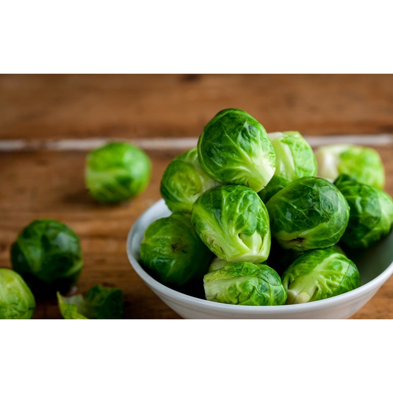 Hạt giống bắp cải tí hon