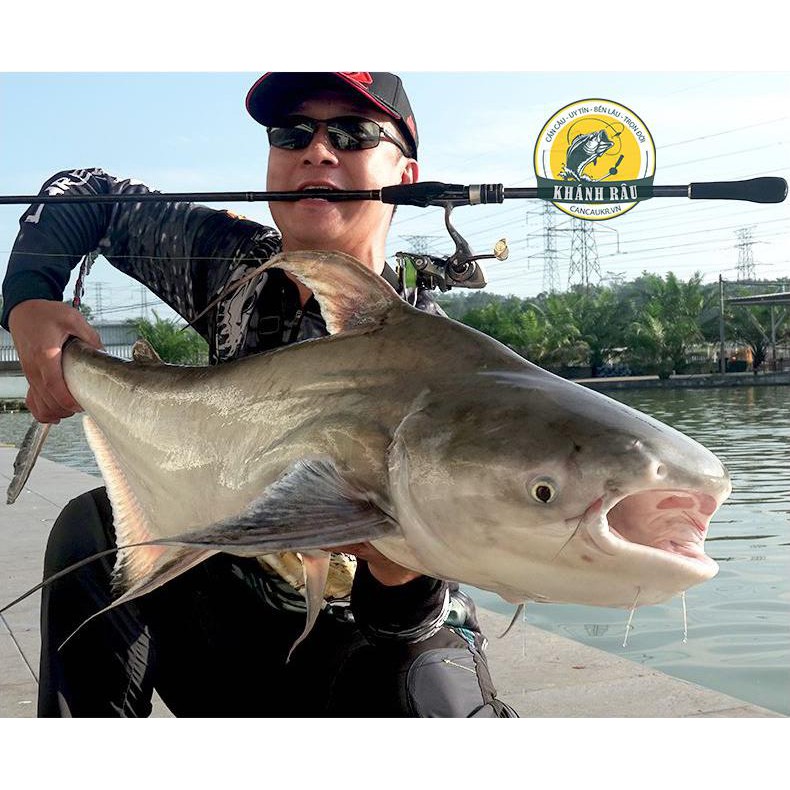 Dây Dù Câu Cá Tarantula Nhện Xanh 120m LURE STAR