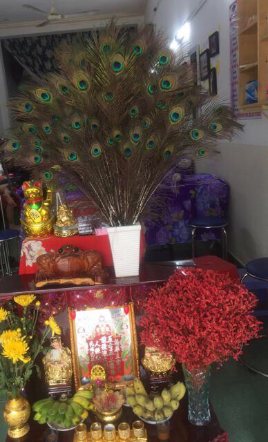 Lông công 80-90cm tự nhiên sale mạnh | BigBuy360 - bigbuy360.vn