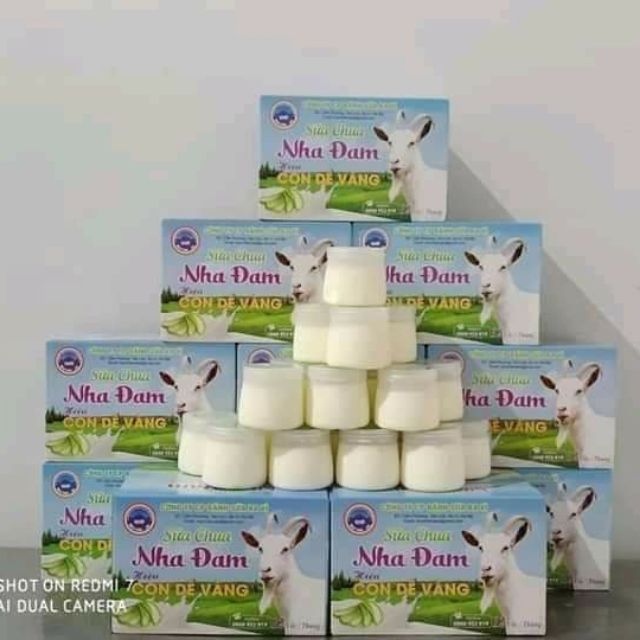 Sữa chua nha đam
Sữa chua dê 
Sữa chua phô mai