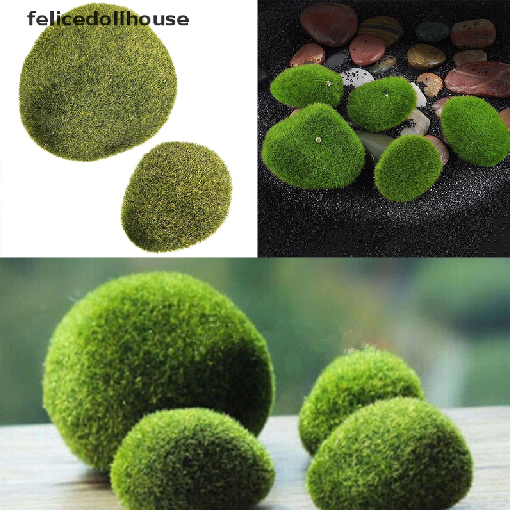 Đá Cỏ Marimo Nhân Tạo Mini Trang Trí Vườn Thần Tiên Terrarium