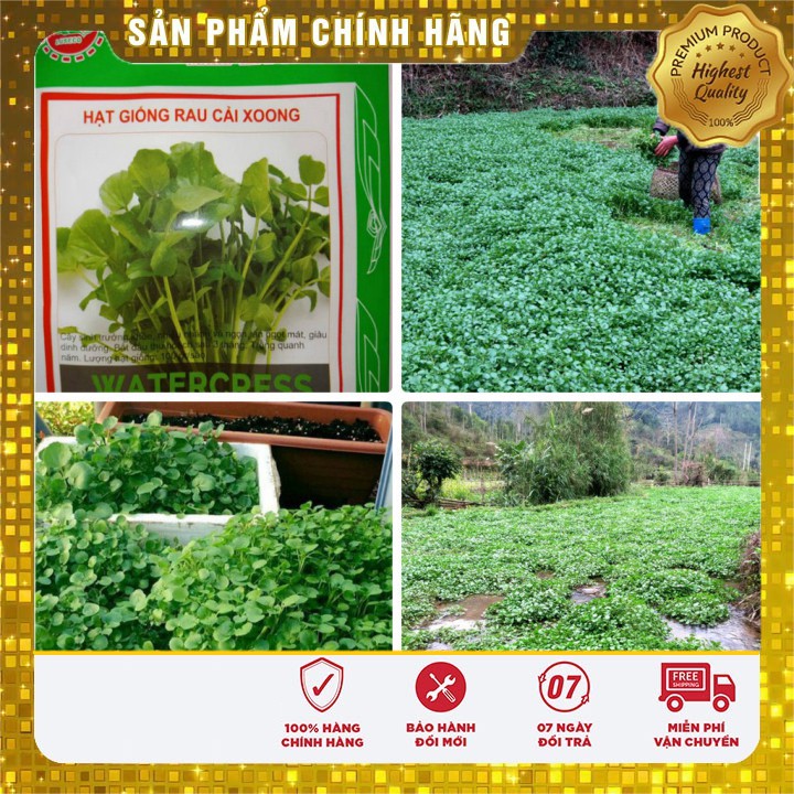 Hạt giống rau cải xoong ngọt -0.2 gr