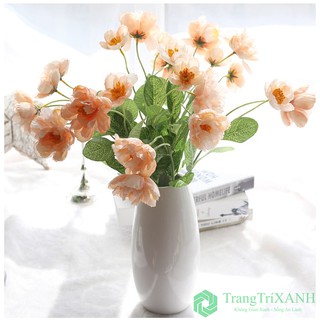 Hoa Lụa - Lan Tường Loại 1 Giống Thật