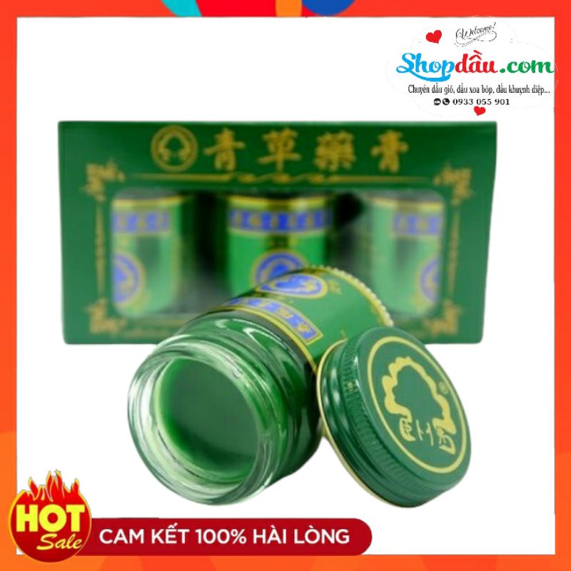 Dầu cù là cổ thụ thái lan