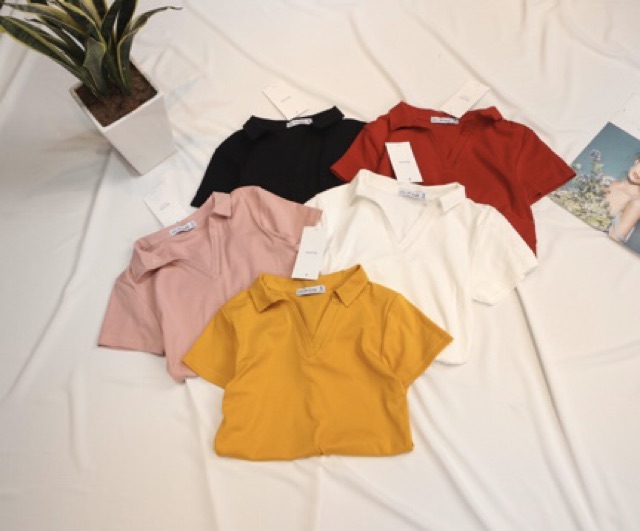 Áo thun bozip - kiểu áo có cổ đức