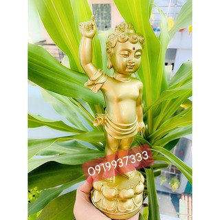 Tượng phật đản sanh ( 3 mẫu )