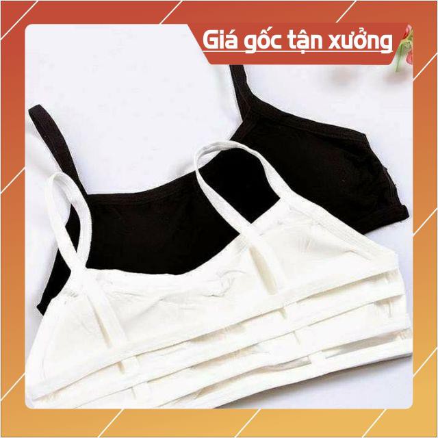 Áo bra Cotton 3 dây XINH XẮN Mút mỏng MÁT ❣️❣️❣️ Áo Bra học sinh, sinh viên BIKY