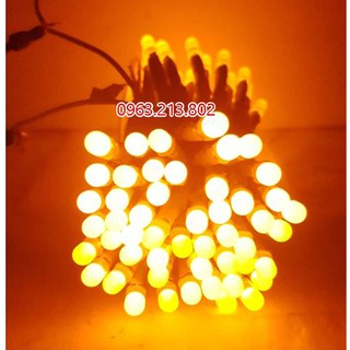 Led liền dây IPY dây đồng màu vàng