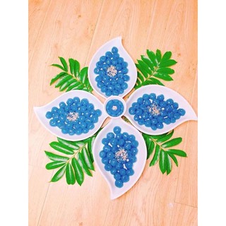 Cây giống đậu biếc