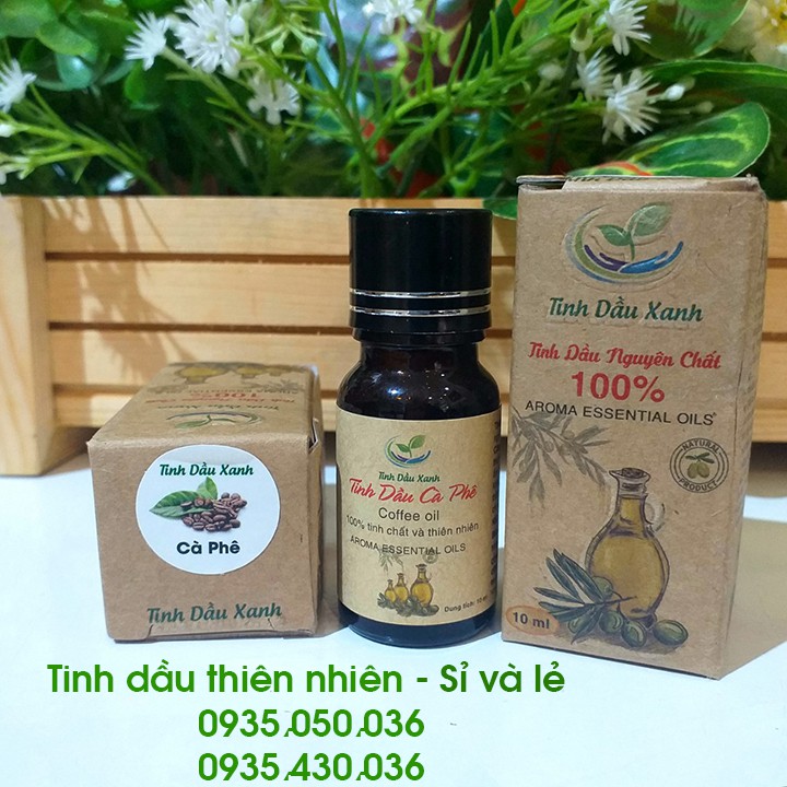🌿Tinh dầu Tràm, Bưởi, Hoa Nhài, Trầm, Sả, Sả Chanh, Ngọc Lan Tây, Sen, Quế, Bạc Hà