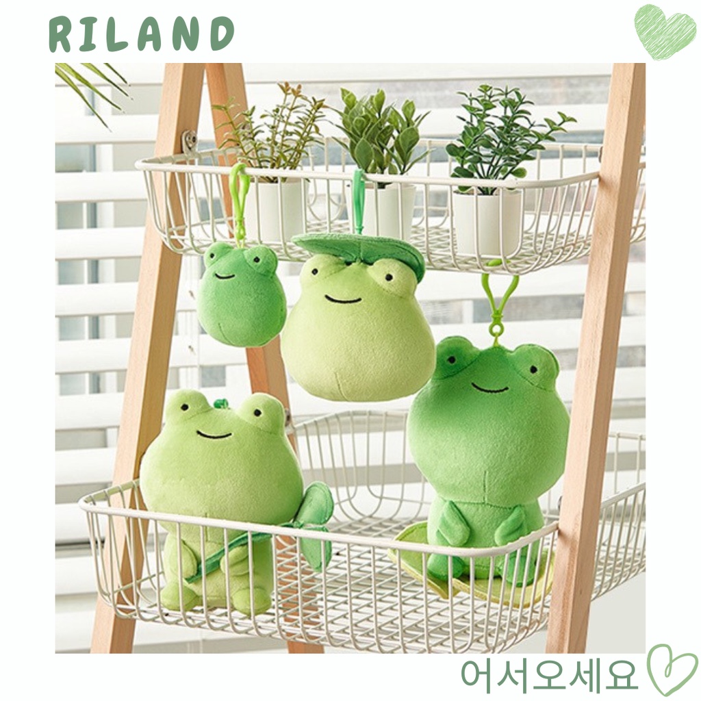 DAISO HÀN GẤU BÔNG ẾCH XANH MƯỚT