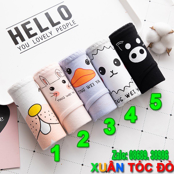 [Mã WASTDEP giảm 5K đơn bất kì] SỈ ZALO RẺ HƠN NHIỀU_ Quần Lót 5 Kiểu Mặt Loài Vật Siêu Xinh N010 | BigBuy360 - bigbuy360.vn