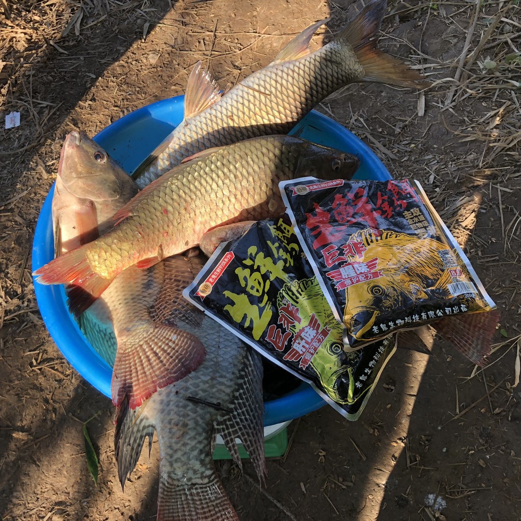 Combo bài mồi câu rô phi đông lanh khô Lão quỷ