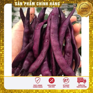 Hạt giống đậu cove leo tím dễ trồng gói 5gr / hat giong cove leo
