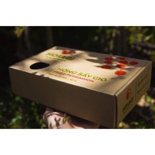 Hồng Sấy Gió Hosagi