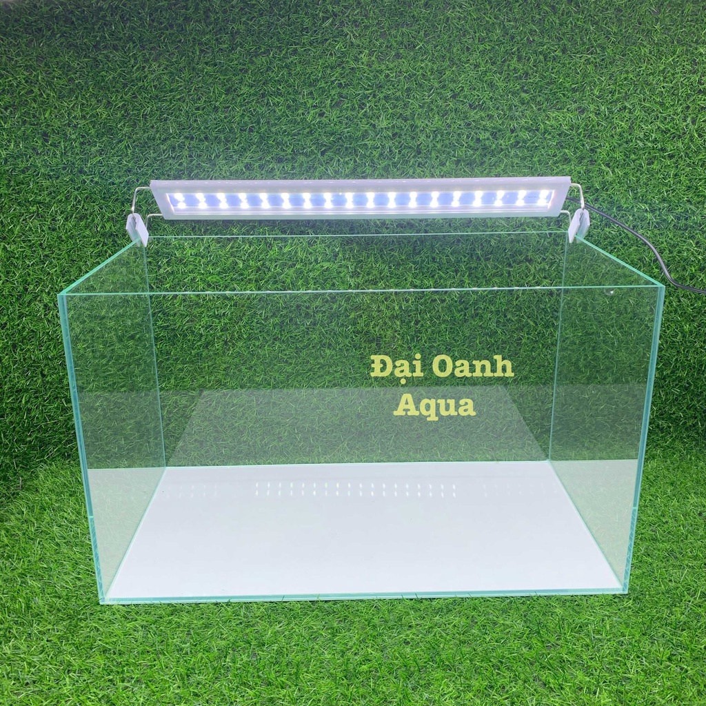 Bộ Bể Cá 50cm Kính Siêu Trong 5 Mặt, Dài 50cm Rộng 26cm Cao 30cm - Bể Cá Cảnh Mini