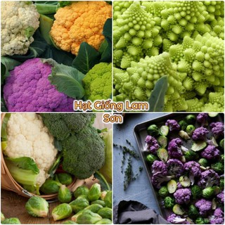 HẠT GIỐNG SÚP LƠ ( Đủ Màu ) - LOẠI RAU CỦ TỐT CHO SỨC KHỎE, LÀM ĐẸP TUYỆT VỜI.