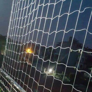 Lưới cước ( toàn nguyễn)