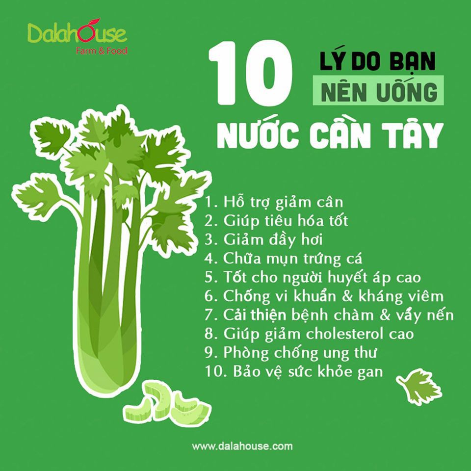 Bột cần tây nguyên chất Dalahouse túi 50g