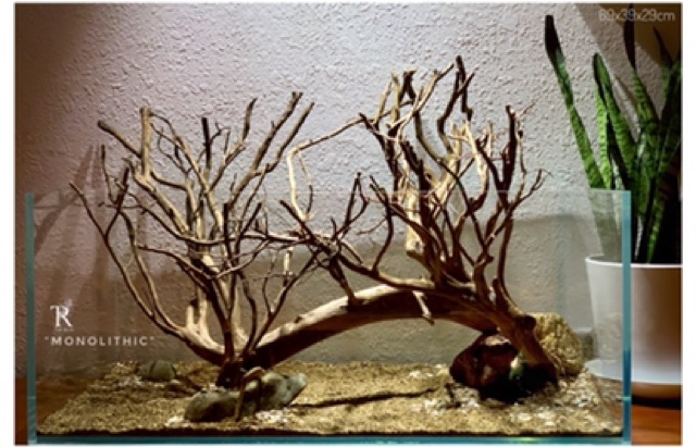 Sạn suối/sỏi suối thiên nhiên Femolay size L