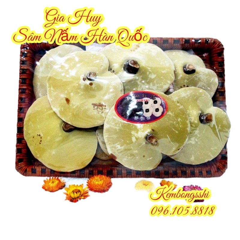 [HÀNG MỚI] Nấm linh chi Vàng dạng khay HÀN QUỐC