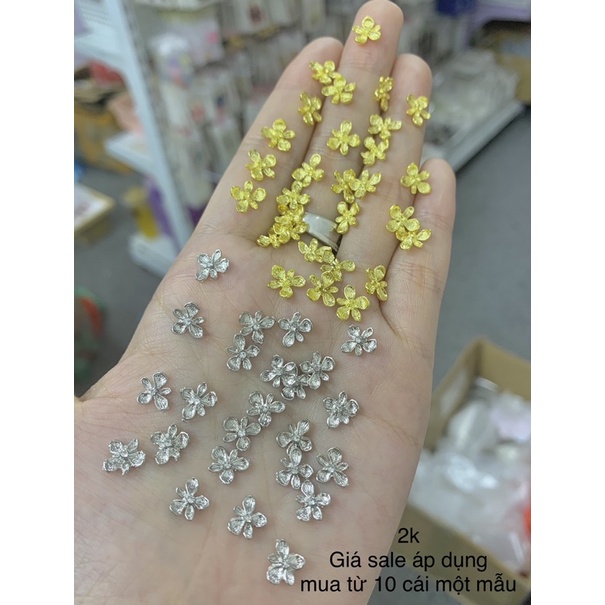 Cham hình đính móng