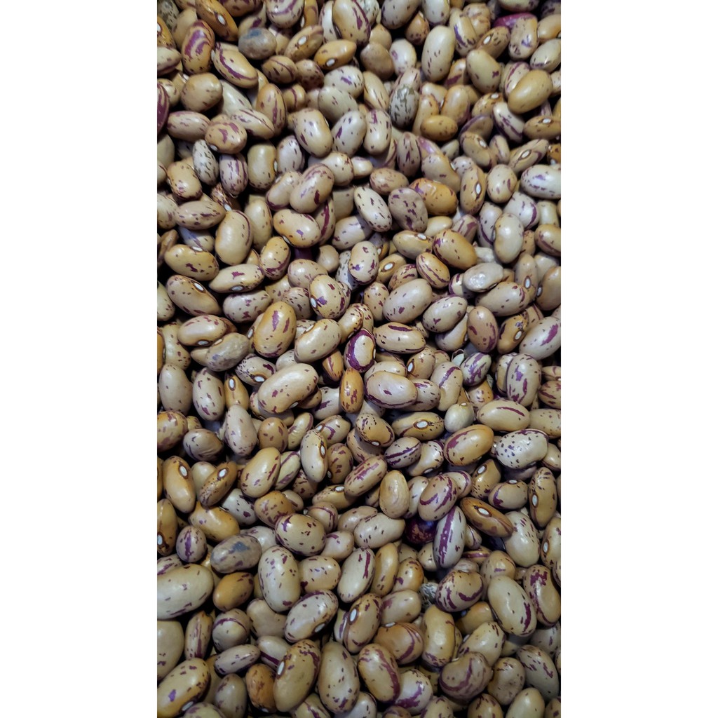 Đậu Cúc Pinto - Argentina, 500g | BigBuy360 - bigbuy360.vn