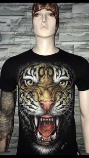 Combo áo 4d