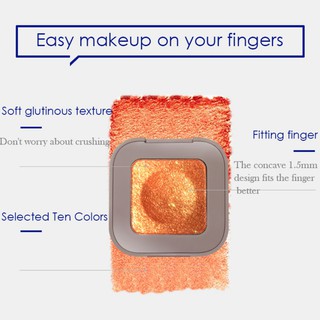 NOVO Monochrome High Flash 10 Color Eyeshadow【F】