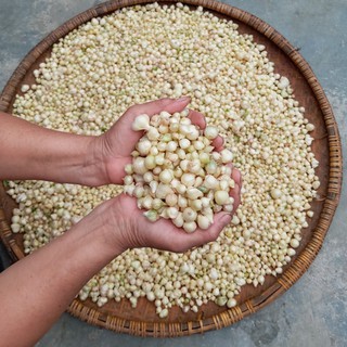 Hành tăm - đặc sản nghệ an - loại 1 - siêu rẻ - siêu bổ dưỡng