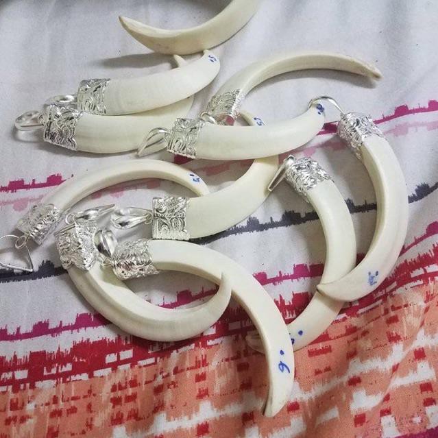 Bạc chuẩn. 💥💥XẢ KHO NANH BỌC BẠC TA TỰ NHIÊN