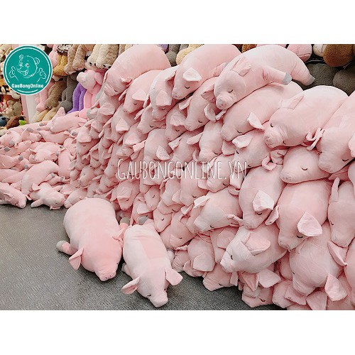 Lợn Bông Hồng mềm 70cm | Heo Bông Nằm chất nhung mịn dễ thương